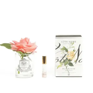 Cote Noire Perfumed Natural Touch Single French Rose - White Peach