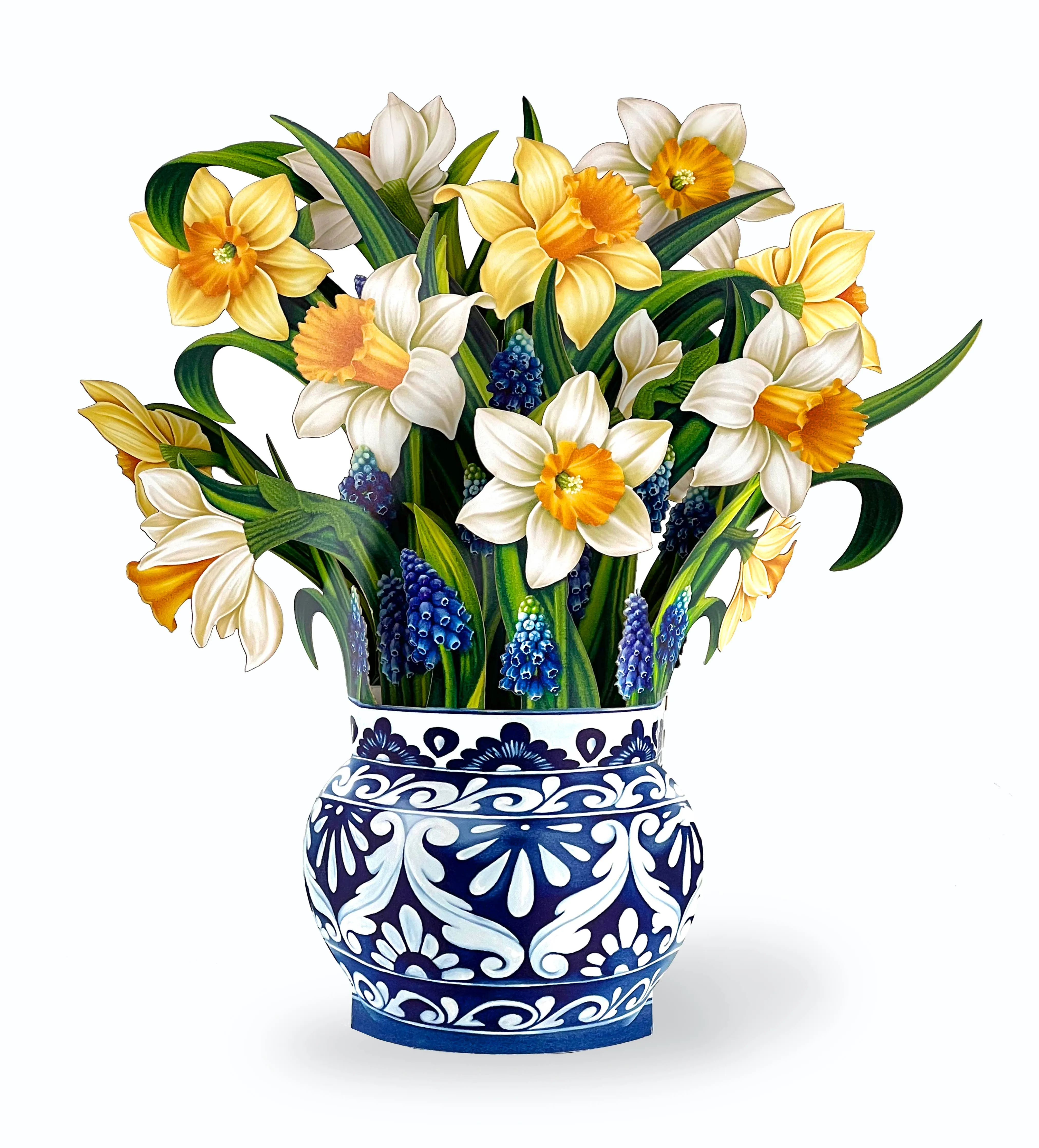 ENGLISH DAFFODILS POP-UPGREETING CARDS