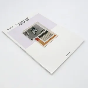 Patrick Pound: Windows - Softcover